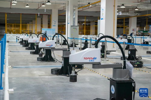 新華全媒 高質量發展調研行 廣東東莞 聚焦 科技創新 先進制造 賦能產業高質量發展